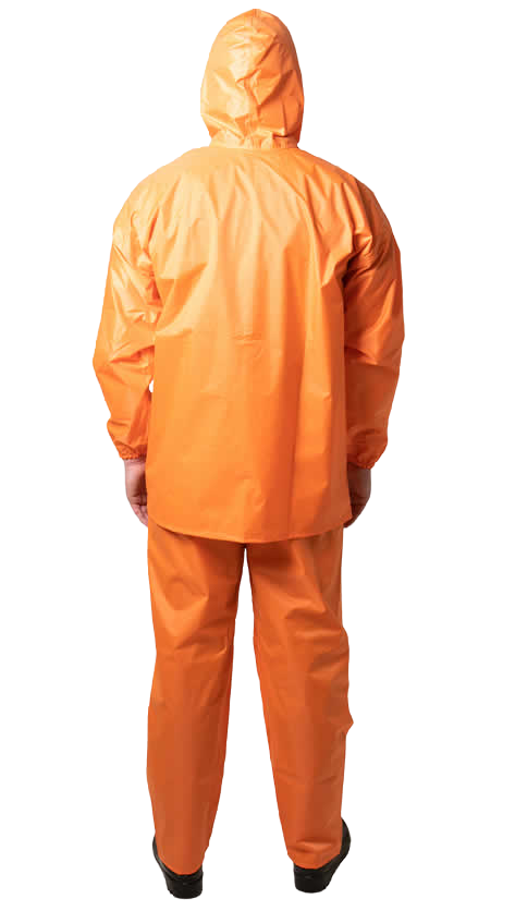 Conjunto Básico - Costas-depositphotos-bgremover.png