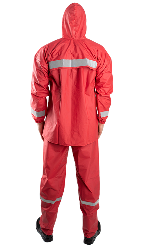 Conjunto Lumi - Costas.png