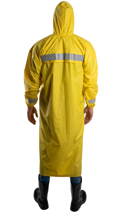 Capa Lumi - Costas.fw.png